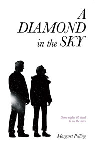 A Diamond in the Sky - book cover